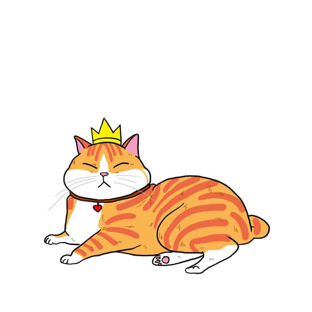 粉丝投稿李大圆儿joyce想养一堆大肥猫67