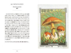 复古蘑菇插画 复古插画
