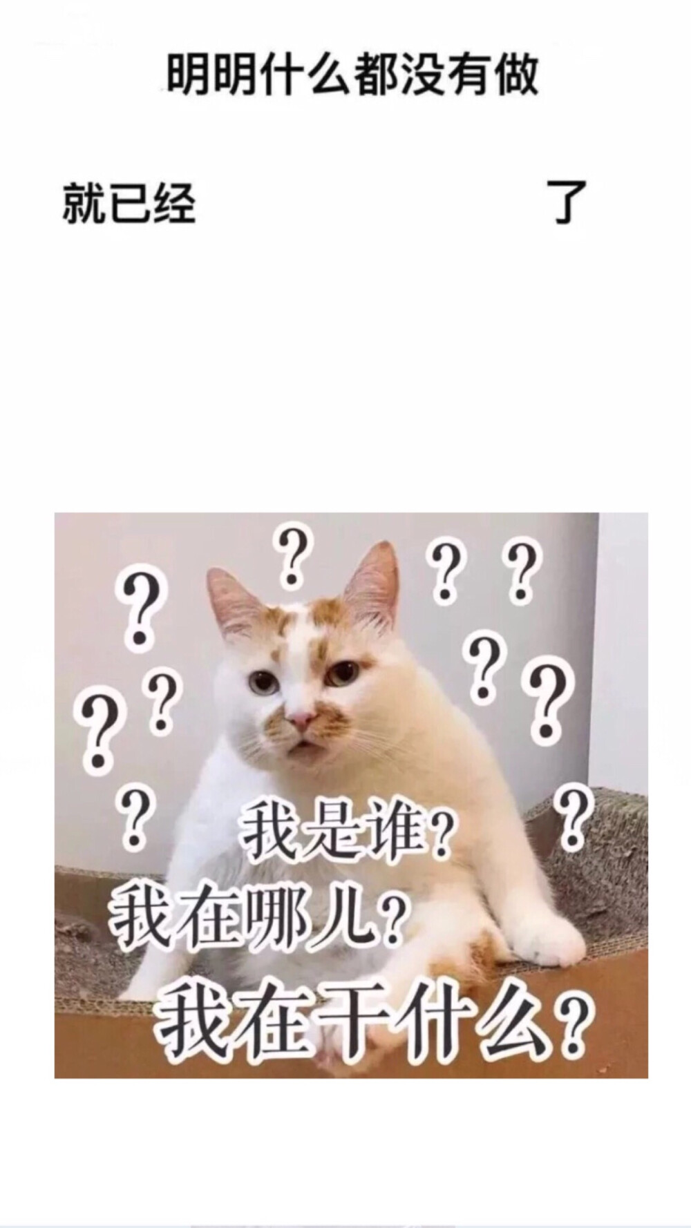 明明什么都没有做