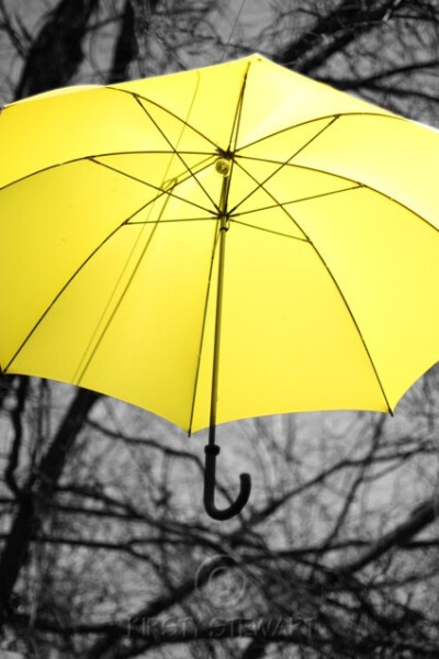 yellow umbrella