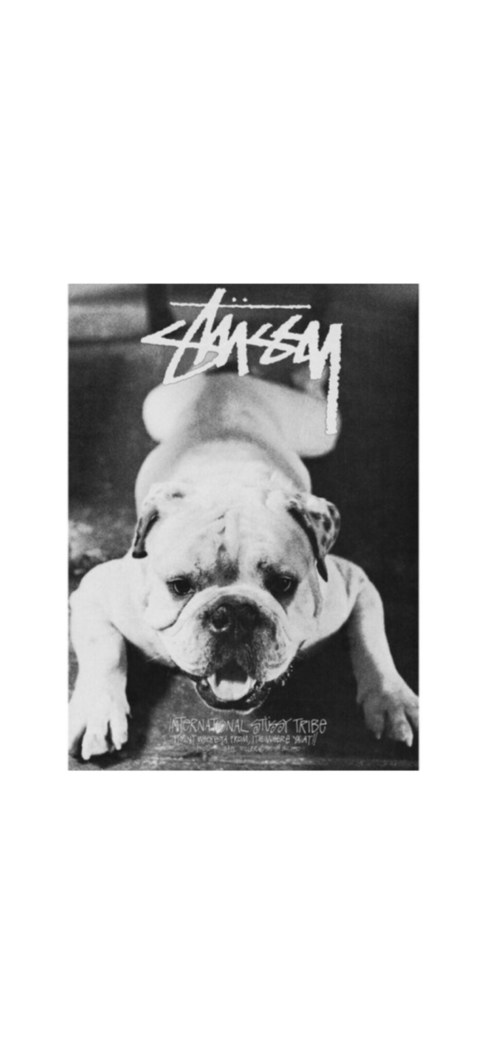 Pidan｜Stussy 宣传片