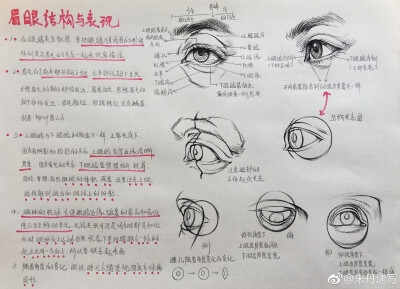 五官讲解和头部完整示范快夸夸我！！ （作者： 朱丹速写 ） ​