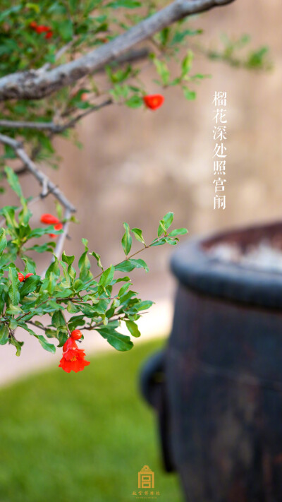 休雨。