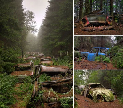 比利时著名的汽车坟场（boneyard）。