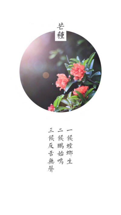 芒种。