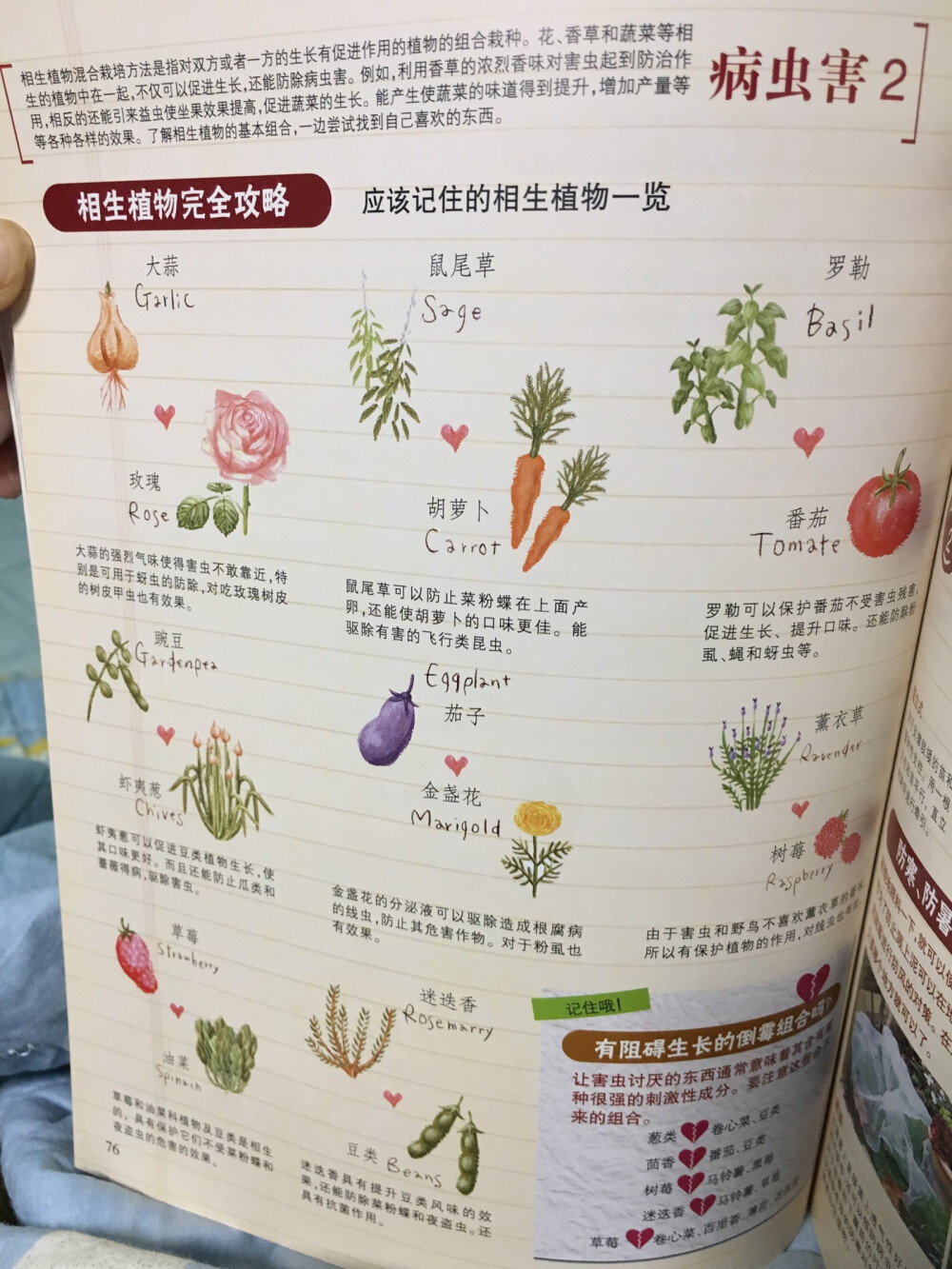 相生植物