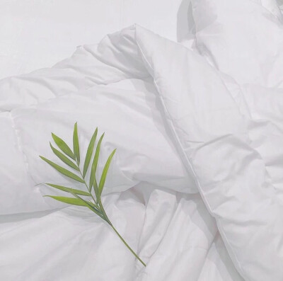 文字图 杂图 背景图 