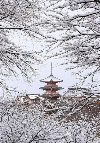 深山藏古寺，林幽塔已出。 ​