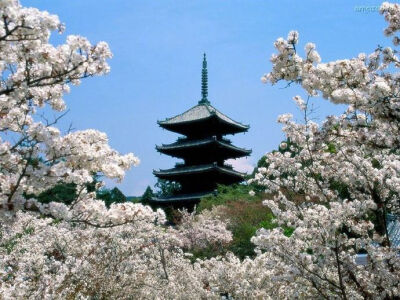 深山藏古寺，林幽塔已出。 ​