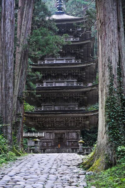 深山藏古寺，林幽塔已出。 ​