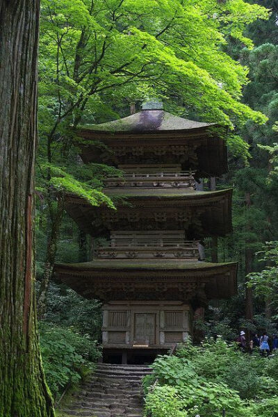 深山藏古寺，林幽塔已出。 ​