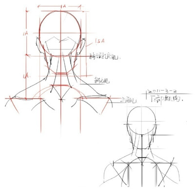 头部绘画基础知识，快收藏了！ ​（转）via @美术绘画教程 ​