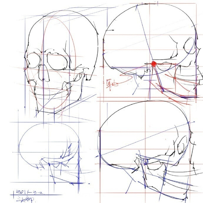 头部绘画基础知识，快收藏了！ ​（转）via @美术绘画教程 ​