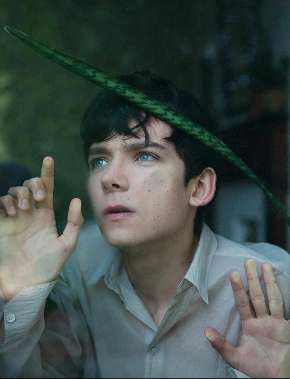 Asa Butterfield 阿沙