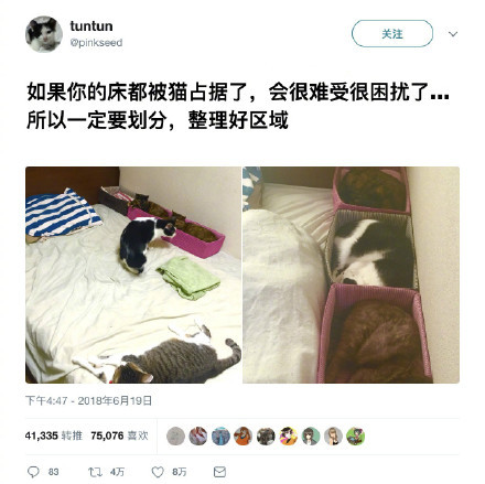 如果你的床被猫占据了，应该这样处理..... ​