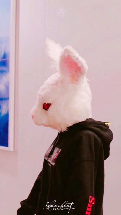 全屏壁纸/壁纸/文字/名片