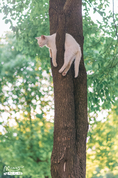 全屏壁纸/壁纸/文字/名片