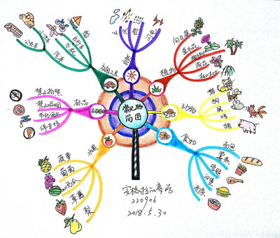 思维导图