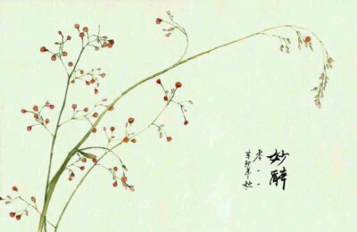 素材 花草