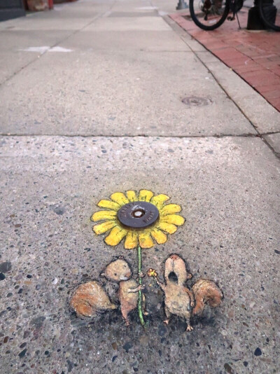 David Zinn｜粉笔