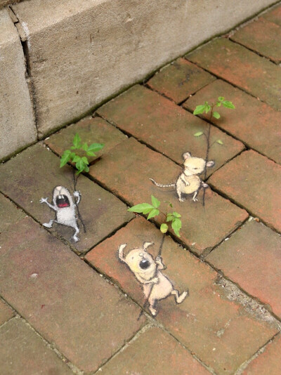 David Zinn｜粉笔