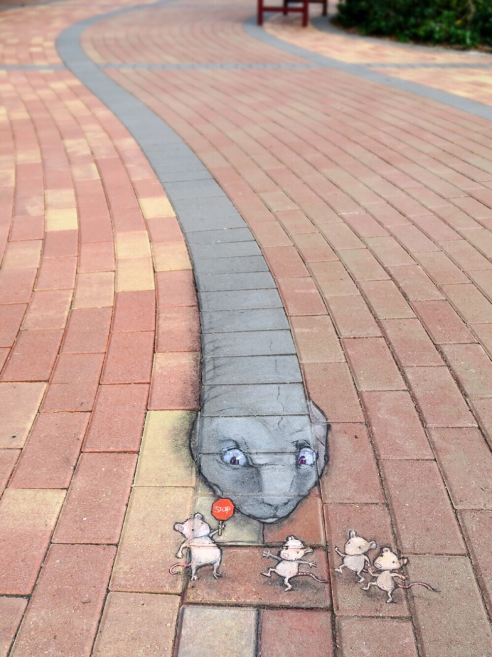 David Zinn｜粉笔