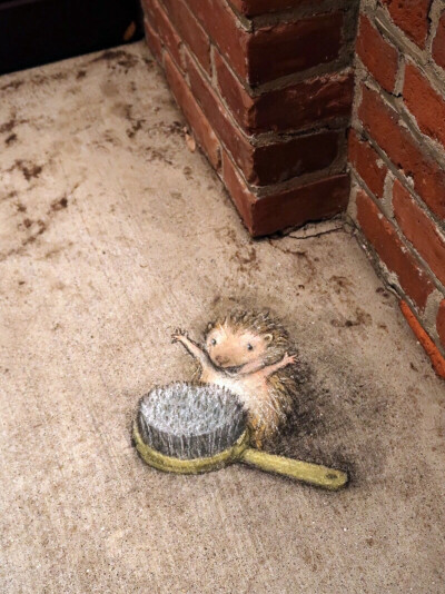 David Zinn｜粉笔