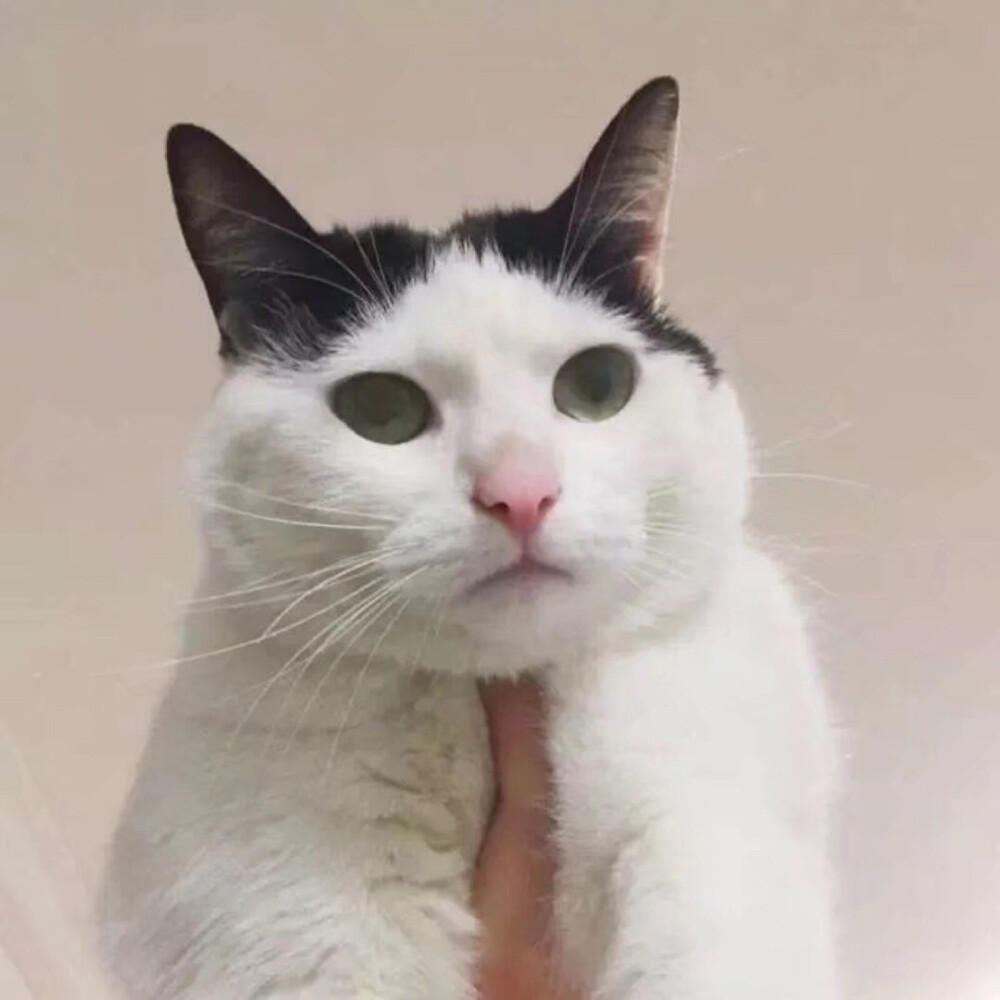情头可爱