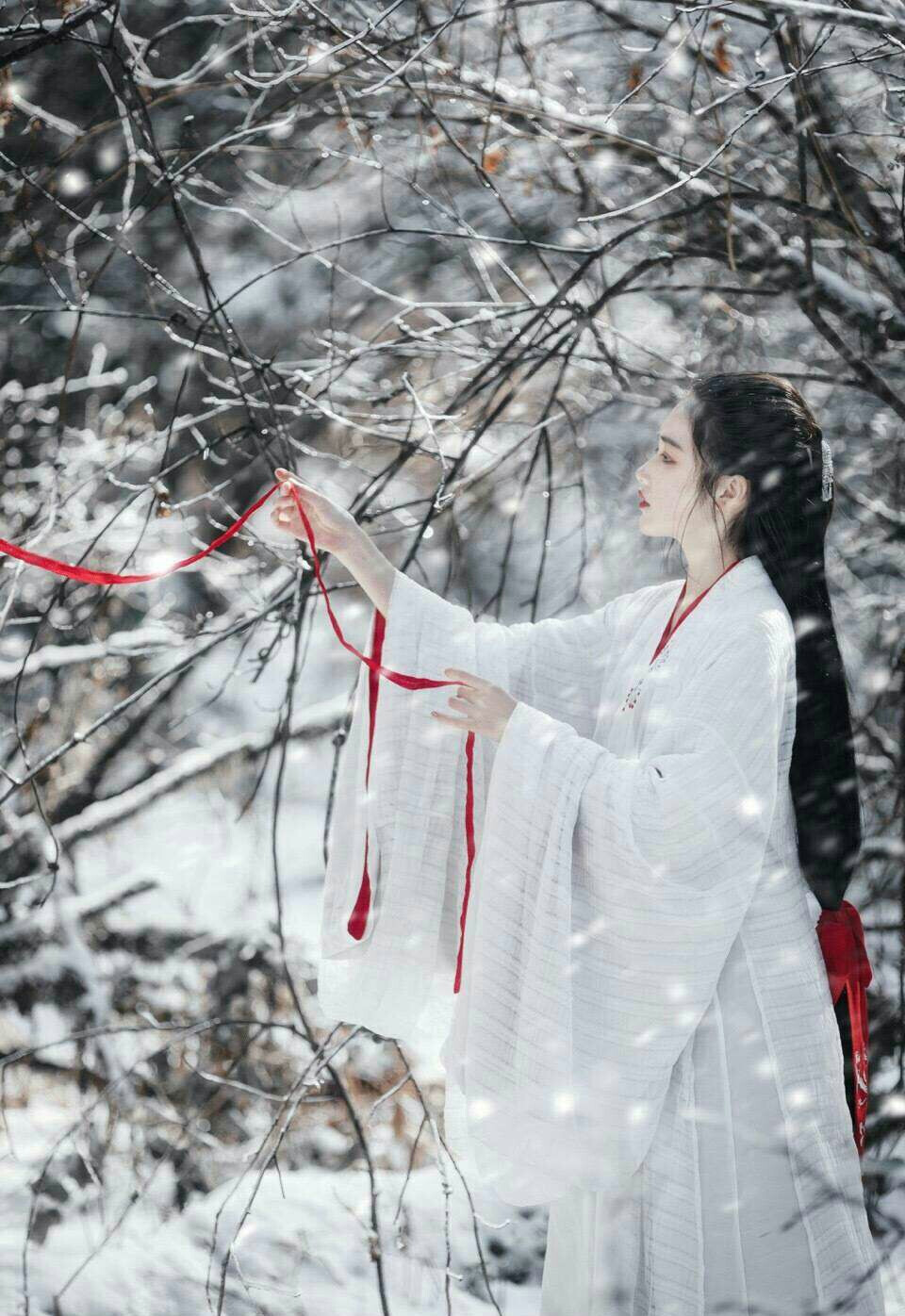 「雪女」
永和八年，我依旧记得长安那场大雪。
人世一片，苍苍茫茫。
她自雪中来，红伞霜蓬，云裳黑发。
她说十年前的一曲离别，自有大雪相送。
她说结一世姻缘，只为等一个知恩知意的心中
客。
她的眉眼，是我始终参不破的谜。
