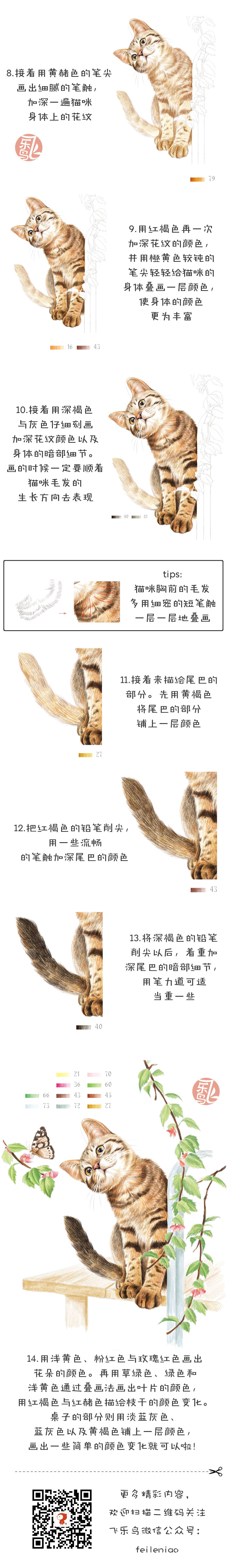 对什么都好奇的猫