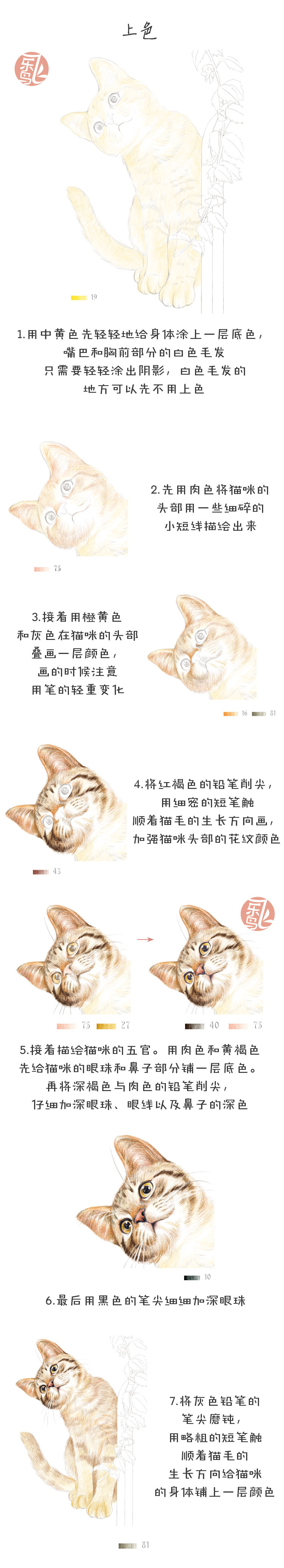 对什么都好奇的猫