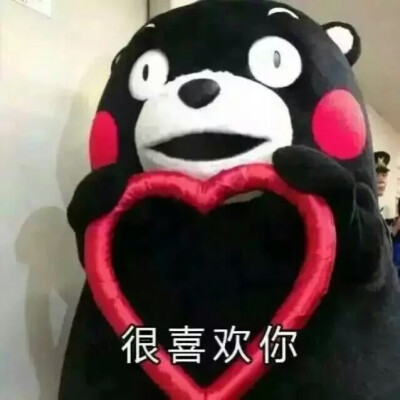 珍藏多年的表情包吖♡