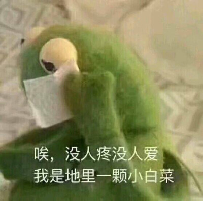 珍藏多年的表情包吖♡