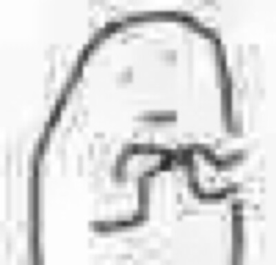 一年份的表情包❤