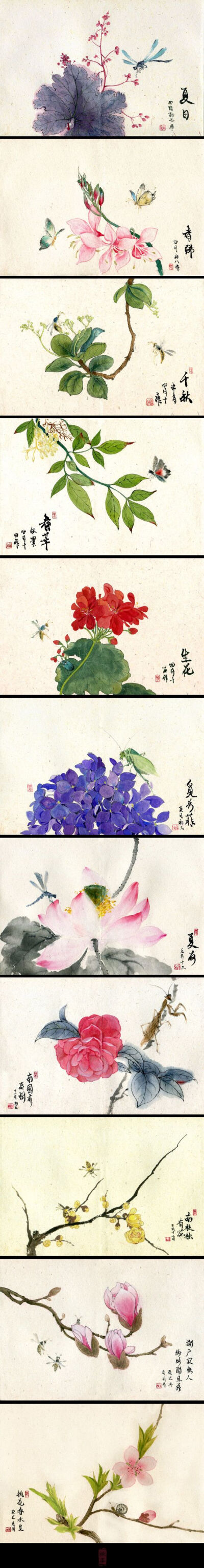 【绘画素材】觅芳菲——桃花春水生 二十四节气