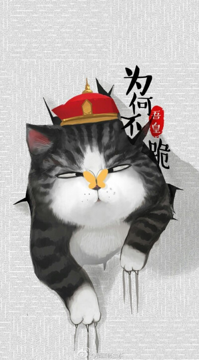 猫壁纸