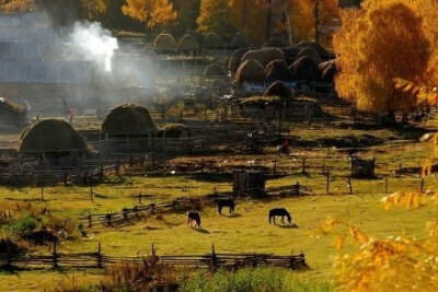 神的自留地——新疆喀纳斯，随处一拍都是美景。 ​