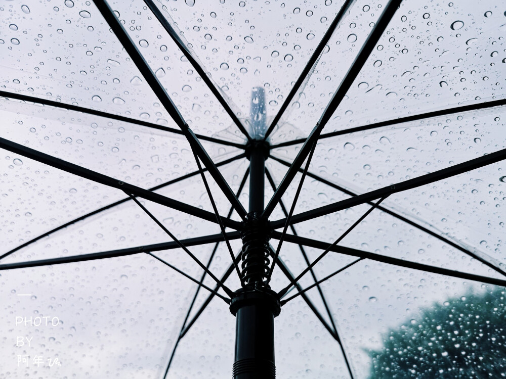 爱在过境
雨天
雨伞
