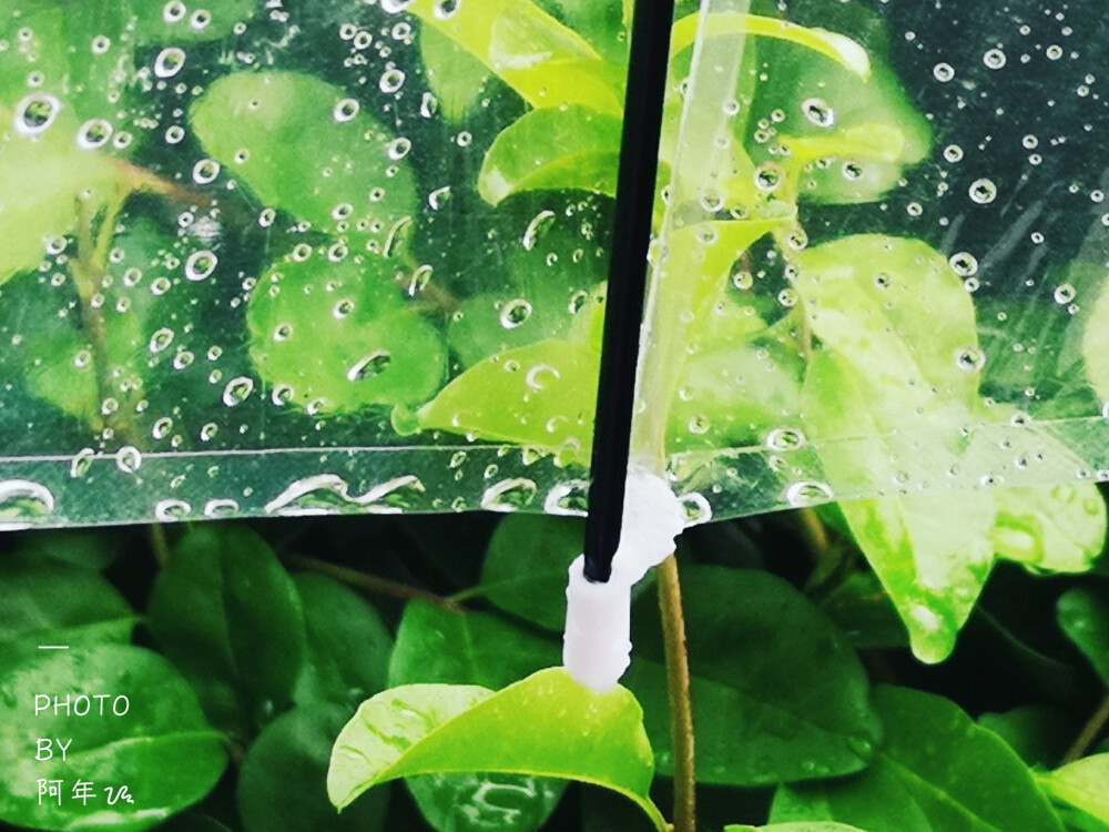 爱在过境
雨天
雨伞
