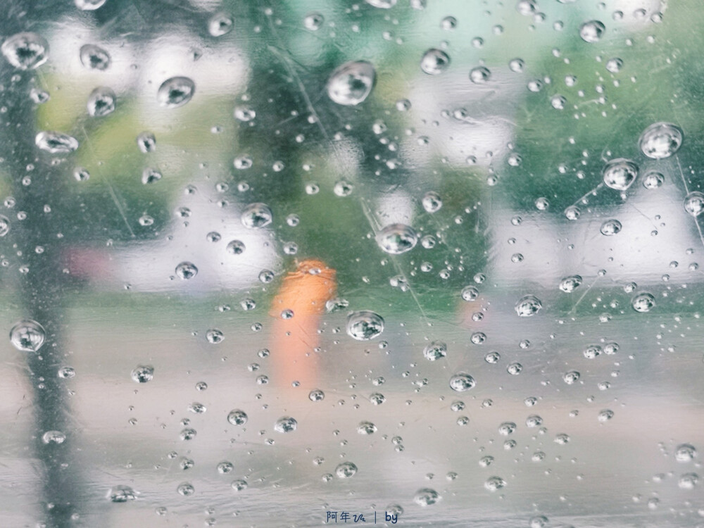 爱在过境
雨天
雨伞
