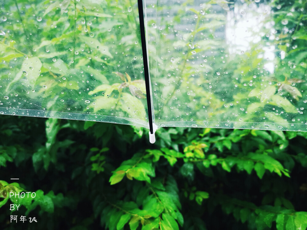 爱在过境
雨天
雨伞
