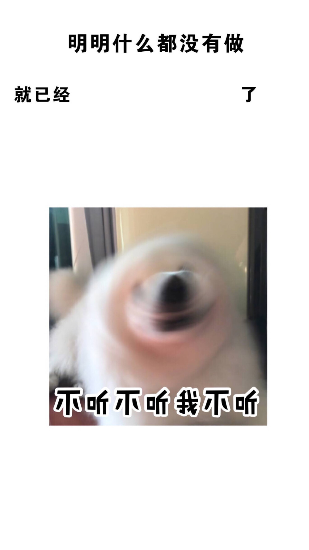 明明什么都没做系列壁纸(◍´꒳`◍)