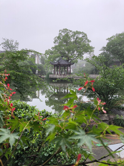 杭州 酒店的花园