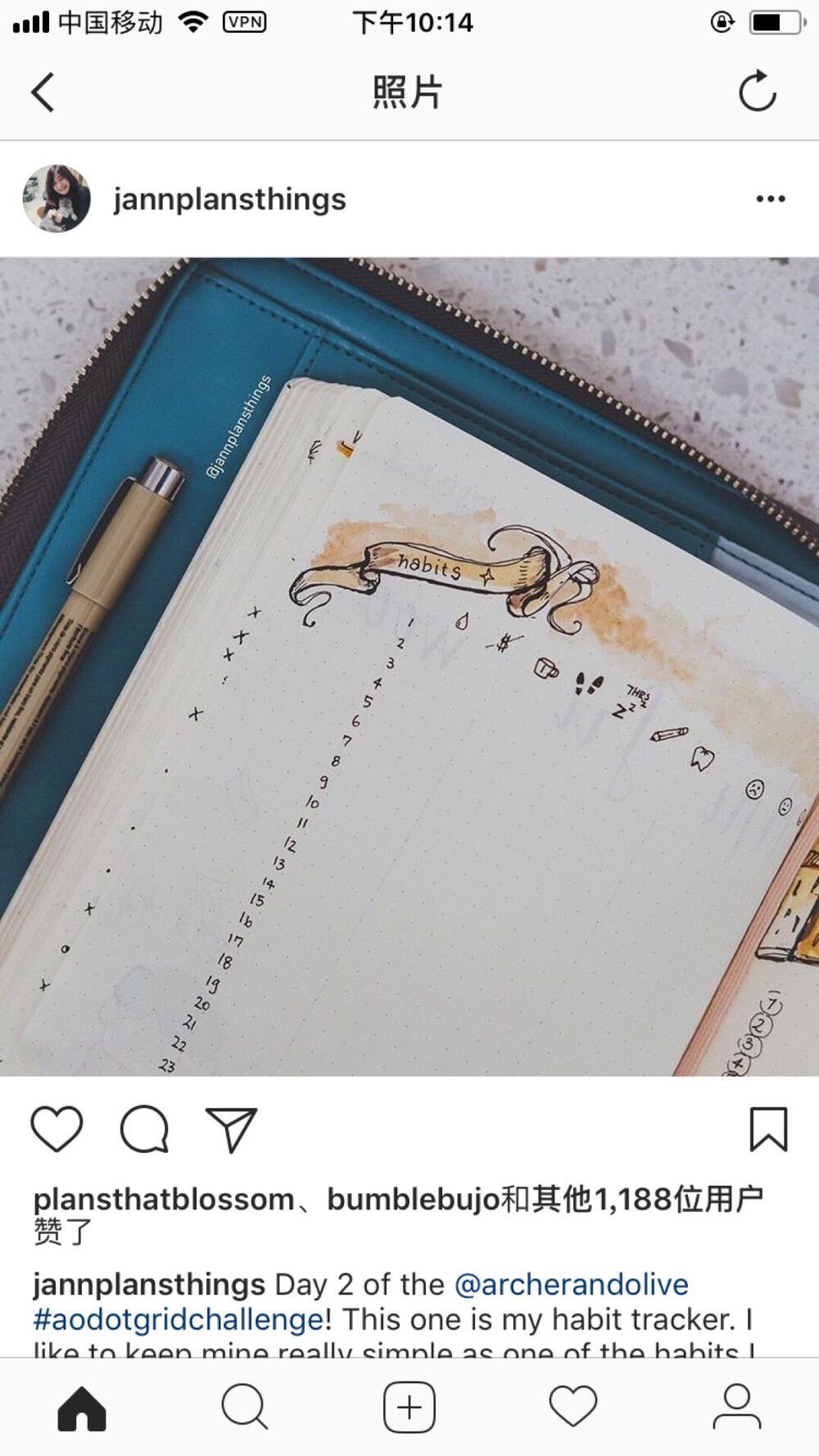 bujo 