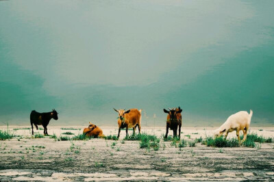  图转自LOFTER 微博等等 侵权就删
高中的时候 会逼自己 不努力以后没出路 不努力以后就要被讨厌的人嘲笑 但是到了大学发现很多东西不是努力就可以做得到 所以学会了放过自己 想做什么就去做吧 不要在意是不是来…