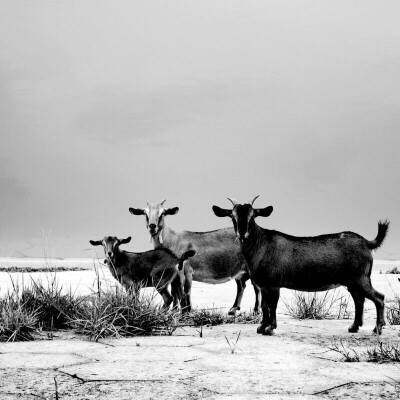  图转自LOFTER 微博等等 侵权就删
高中的时候 会逼自己 不努力以后没出路 不努力以后就要被讨厌的人嘲笑 但是到了大学发现很多东西不是努力就可以做得到 所以学会了放过自己 想做什么就去做吧 不要在意是不是来…