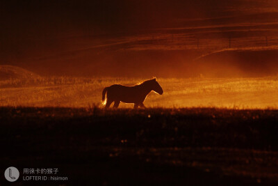  图转自LOFTER 微博等等 侵权就删
高中的时候 会逼自己 不努力以后没出路 不努力以后就要被讨厌的人嘲笑 但是到了大学发现很多东西不是努力就可以做得到 所以学会了放过自己 想做什么就去做吧 不要在意是不是来…