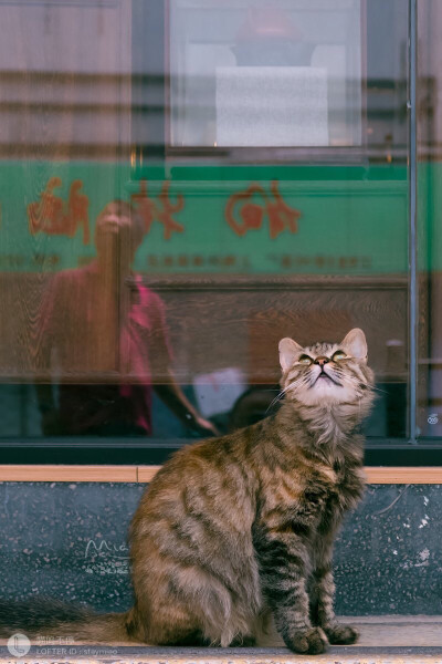  图转自LOFTER 微博等等 侵权就删
高中的时候 会逼自己 不努力以后没出路 不努力以后就要被讨厌的人嘲笑 但是到了大学发现很多东西不是努力就可以做得到 所以学会了放过自己 想做什么就去做吧 不要在意是不是来…