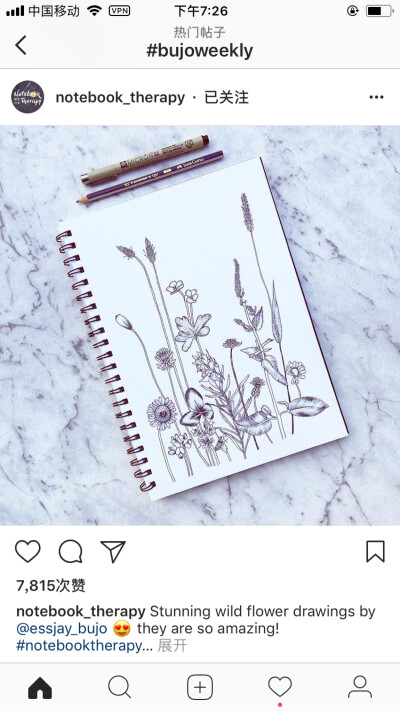 Bujo