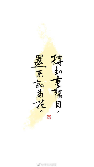 美字